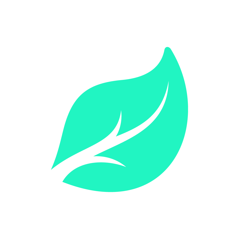 To The Environment Icon